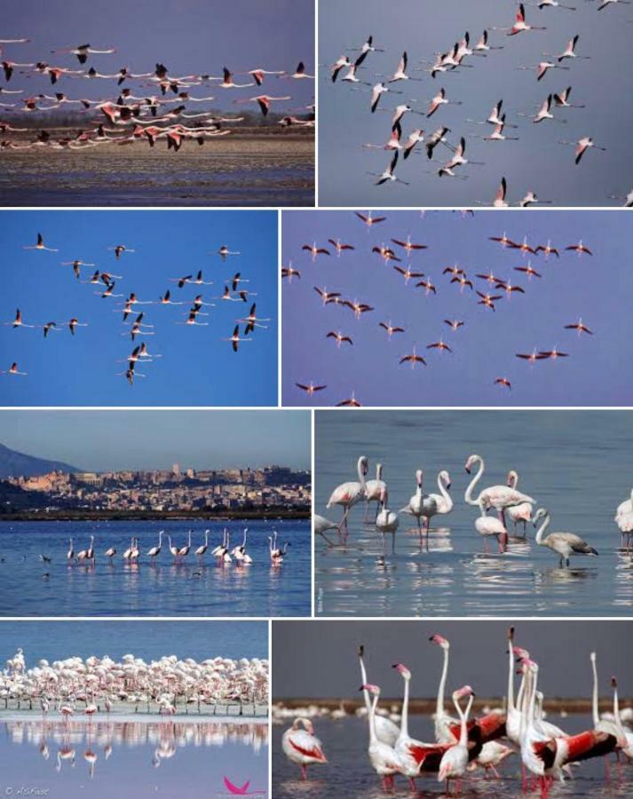 Al Corso Bed & Breakfast Cagliari Dış mekan fotoğraf